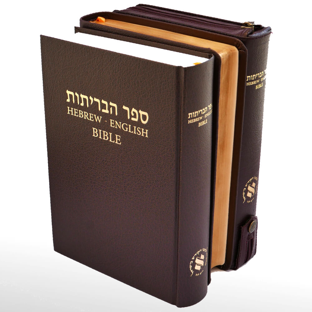revelation 4 aramaic bible in plain english
